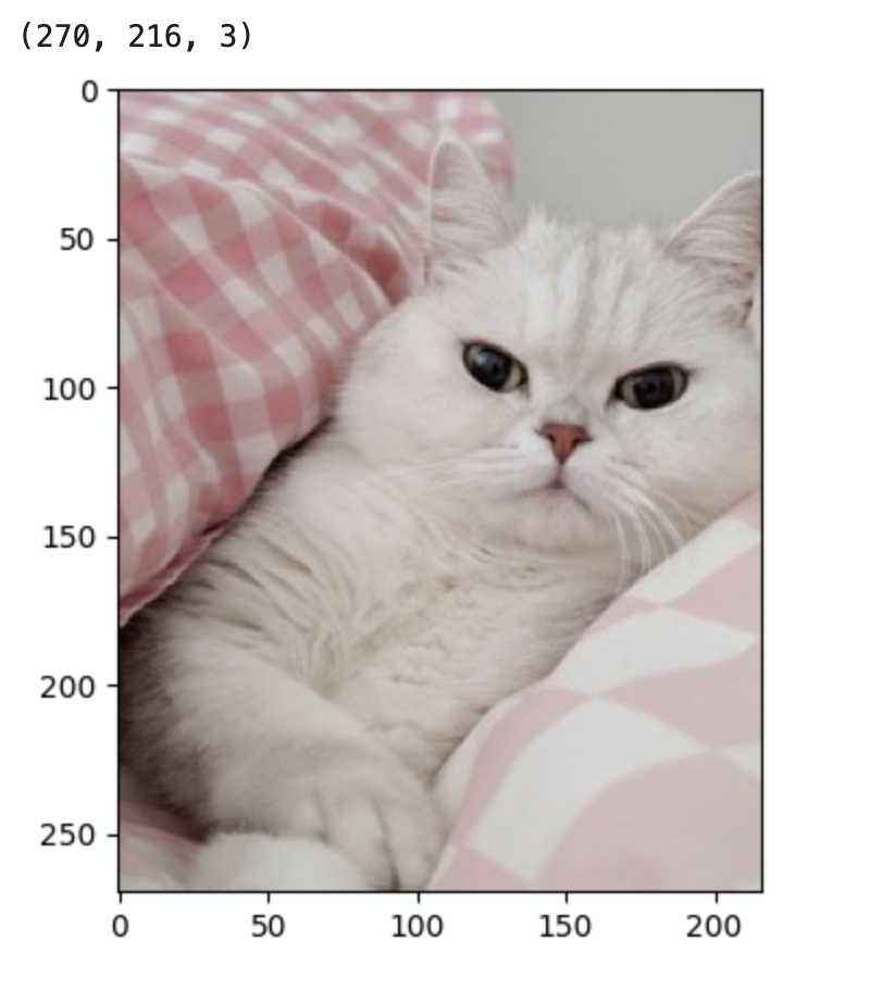 NumPy Fundamentals – Understanding Matrix Dimensions – raylai.co